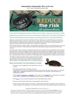 Salmonellosis (Salmonella): How to Prevent