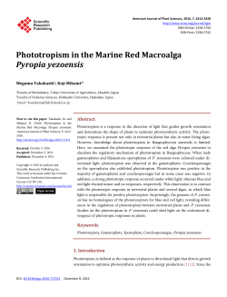 Phototropism in the Marine Red Macroalga Pyropia yezoensis