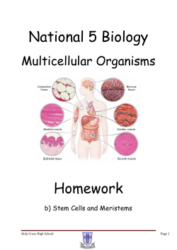 Nat 5 Stem Cells and Meristems