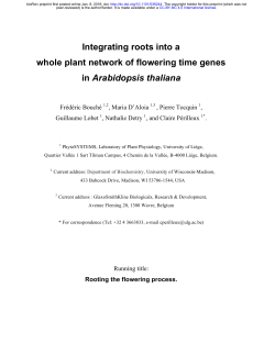 Integrating roots into a whole plant network of flowering