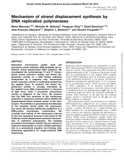 Mechanism of strand displacement synthesis by DNA