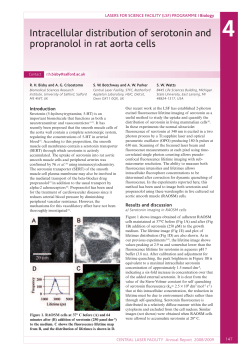 Intracellular distribution of serotonin and propranolol in rat aorta cells