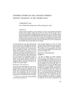 FURTHER STUDIES ON CELL DIVISION