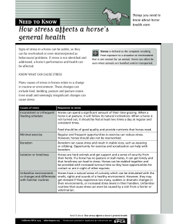 How stress affects a horse`s general health