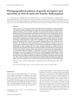 Phylogeographical patterns of genetic divergence and speciation in