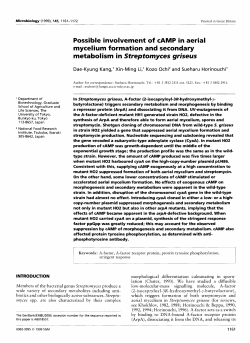 Possible involvement of cAMP in aerial mycelium