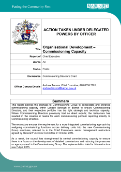 Commissioning Officer Delegated Powers Report Final