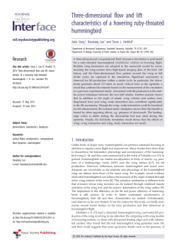 Three-dimensional flow and lift characteristics of a hovering ruby