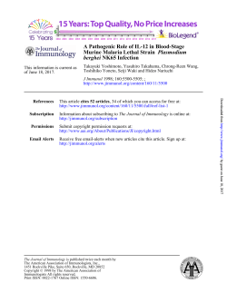 NK65 Infection berghei Plasmodium Murine Malaria Lethal Strain A