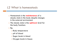 L2 Homeostasis