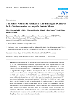 The Role of Active Site Residues in ATP Binding and Catalysis in
