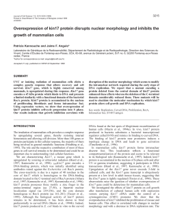 Antiproliferative activity of kin17 protein