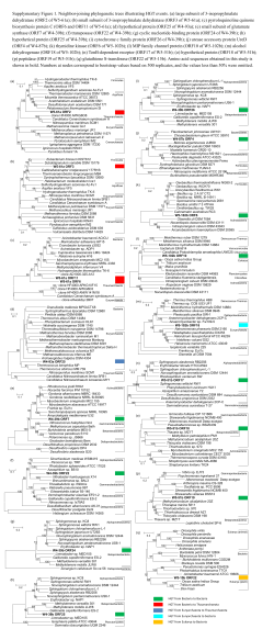 PowerPoint 演示文稿