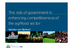 The role of government in enhancing competitiveness of