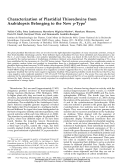 Characterization of Plastidial Thioredoxins from