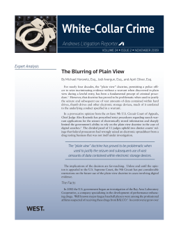 The Blurring of Plain View
