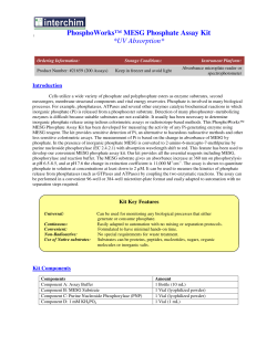 PhosphoWorks&trade; MESG Phosphate Assay Kit *UV