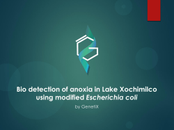 Bio detection of anoxia in Lake Xochimilco using modified
