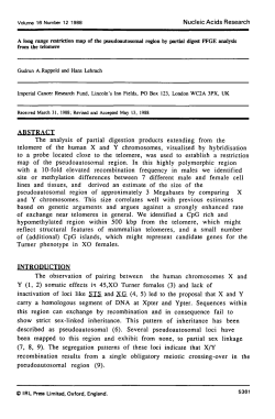 A long range restriction map of the pseudoautosomal region by