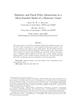 Monetary and Fiscal Policy Interactions in a Micro