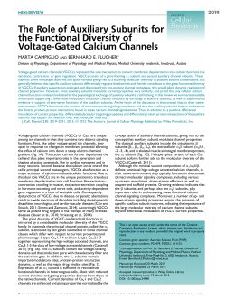 The Role of Auxiliary Subunits for the Functional Diversity of Voltage