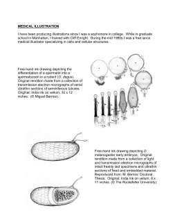 MEDICAL ILLUSTRATION I have been producing illustrations since I