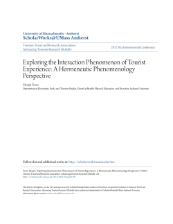Exploring the Interaction Phenomenon of Tourist Experience: A