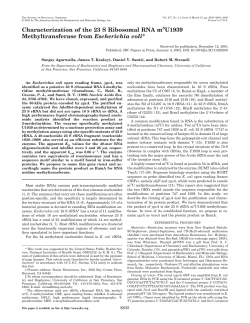 Characterization of the 23 S Ribosomal RNA m5U1939