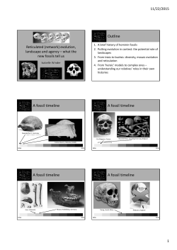 Outline A fossil timeline A fossil timeline A fossil timeline