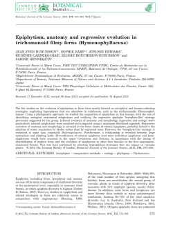 PDF - Oxford Academic - Oxford University Press