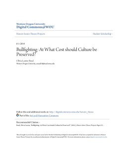 Bullfighting: At What Cost should Culture be Preserved?