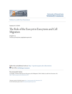The Role of the Exocyst in Exocytosis and Cell Migration
