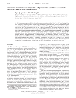 Fluorescence Measurements of Duplex DNA Oligomers under