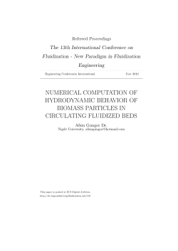 numerical computation of hydrodynamic behavior of biomass
