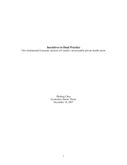 Incentives to Dual Practice