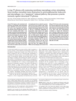 Living T9 glioma cells expressing membrane