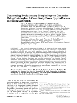 Connecting evolutionary morphology to genomics using ontologies
