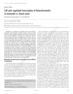 Cell cycle regulated transcription of
