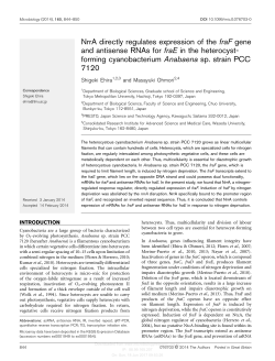NrrA directly regulates expression of the fraF gene