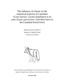The influence of climate on the numerical response of a predator