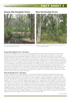 FACT SHEET 5: Swamp Oak Floodplain Forest, River