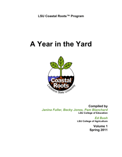 A Year in the Yard - LSU Coastal Roots