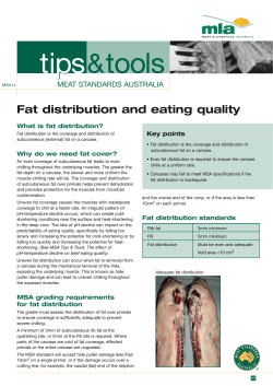 Fat distribution and eating quality - Solutions to feedback