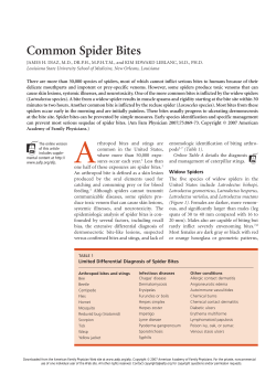 Common Spider Bites