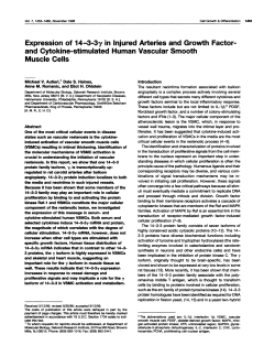 Expression of 14-3-3y in Injured Arteries and Growth Factor