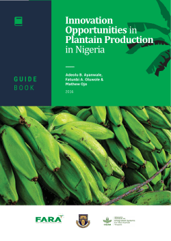 Innovation Opportunitiesin Plantain Production in Nigeria