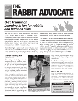 Get training! - Rabbit Advocates