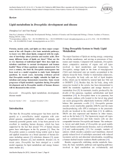 Lipid metabolism in Drosophila: development