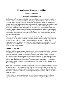 Formation and detection of biofilms