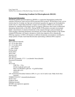 Denaturing Gradient Gel Electrophoresis (DGGE)